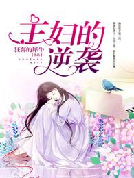 电视剧主妇的反击