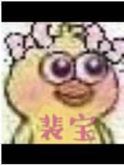 裴宝免费阅读
