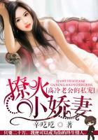 高冷老公的私宠