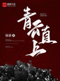 黄金大劫案介绍