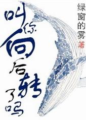向后转走动作视频