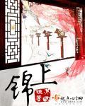 锦上严选