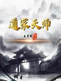 道家天师1-500集免费