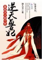 皇叔逆天宠兽黑狂妃txt