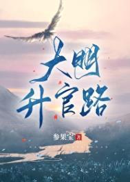 大明官起点
