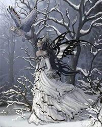 陈雪 蝴蝶