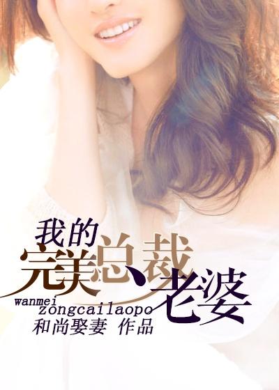 我的完美总裁老婆在线阅读