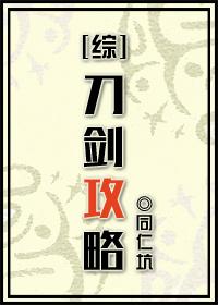 综刀剑攻略的