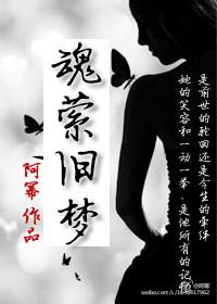 魂萦旧梦讲的什么